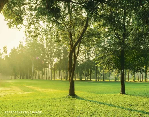 Landscaped Green Zone